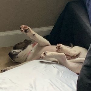 Meet your Posher, Alison